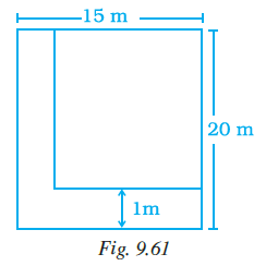 Page 293 Chapter 9 Class 7th NCERT Exemplar Page 293 Chapter 9 Class 7th NCERT Exemplar
